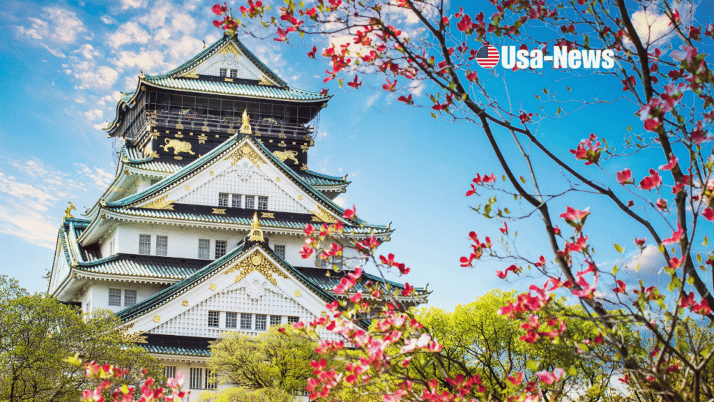 Highlights of Nummazaki – Your Complete Guide to This Scenic Japanese Coast Highlights of Nummazaki